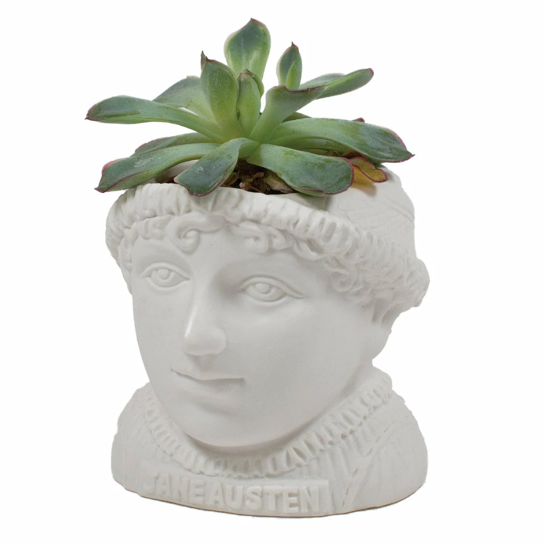 The Unemployed Philosophers Guild Jane Austen Planter 3 The Unemployed Philosophers Guild Jane Austen Planter