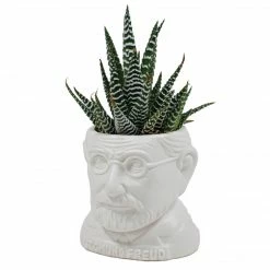 The Unemployed Philosophers Guild Sigmund Freud Planter