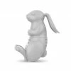 Lifetime Brands Brew Bunny Tea Infuser Fred & Friends