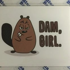 Well...That's Awkward Dam Girl Card Greeting Cards