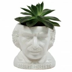 The Unemployed Philosophers Guild Einstein Planter