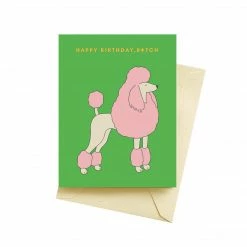 Seltzer Goods Greeting Cards Happy Birthday B*tch Card