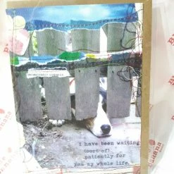 Paper E. Clips Greeting Cards I Have Been Waiting Patiently For You My Whole Life Valentine's Card