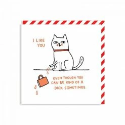 Paper E. Clips Greeting Cards I Like You Even Though You Can Be Kind Of Dick Sometimes Card