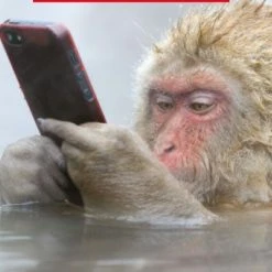 Cheeky Chops Cards Greeting Cards Love You More Than My Phone Valentine's Card