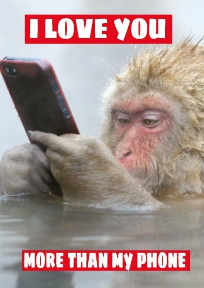 Cheeky Chops Cards Greeting Cards Love You More Than My Phone Valentine's Card 3 Cheeky Chops Cards Greeting Cards Love You More Than My Phone Valentine's Card