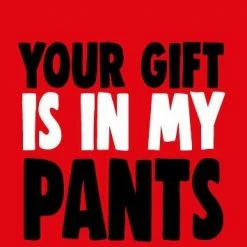 Cheeky Chops Cards Greeting Cards Your Gift Is In My Pants Funny Valentine's Card